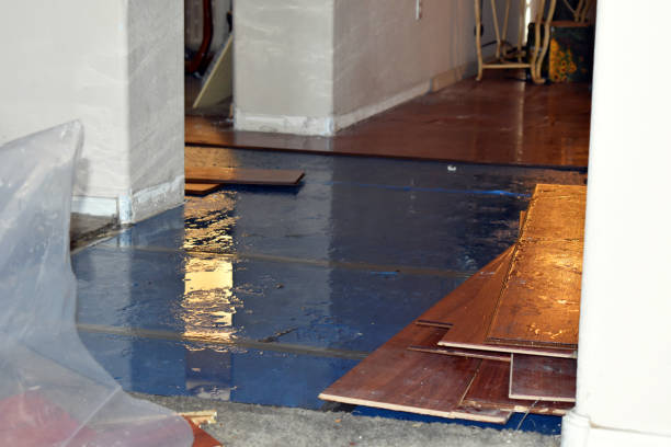 Professional Emergency Water Damage Restoration technician working in Hilliard, OH